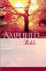 Amplified Study Bible Hardcover